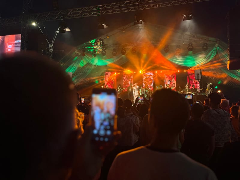 Festivalul Peștelui Brăila, Faleza Dunării 