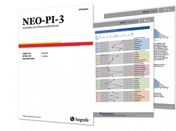 Bilan/Test de personnalité
