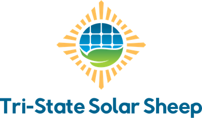 Tri-State Solar Sheep