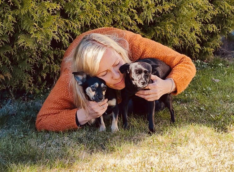 Ambulerende tjenester