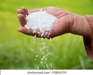 UREA