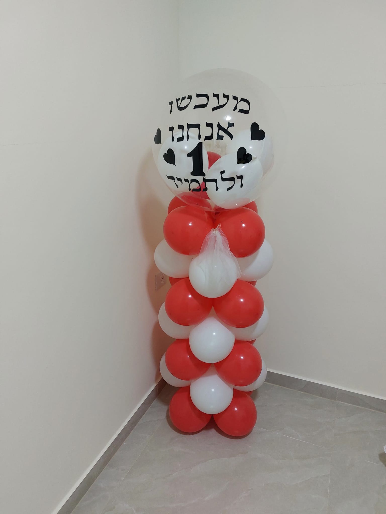 גלריה