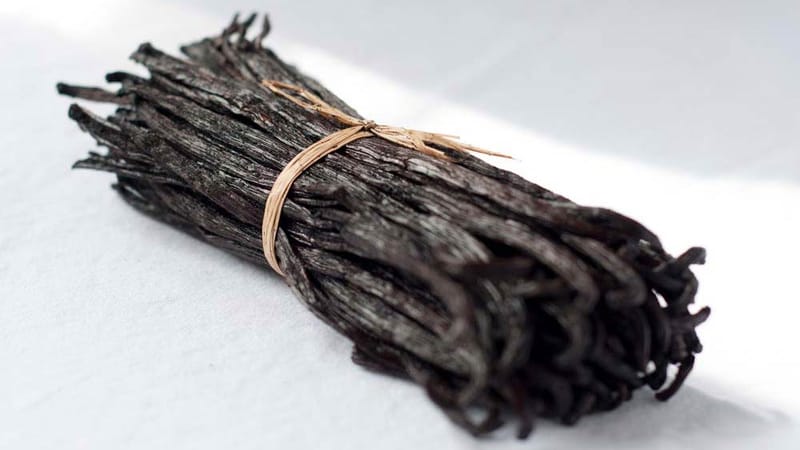 Treated Organic Vanilla Beans