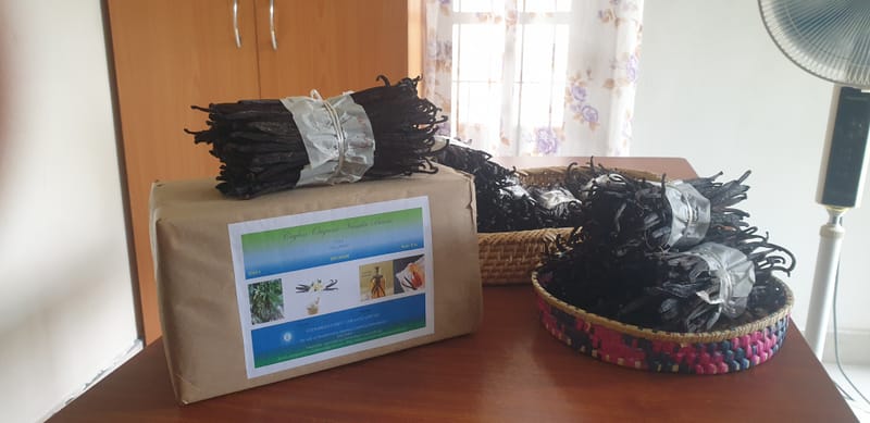 Treated Organic Vanilla Beans