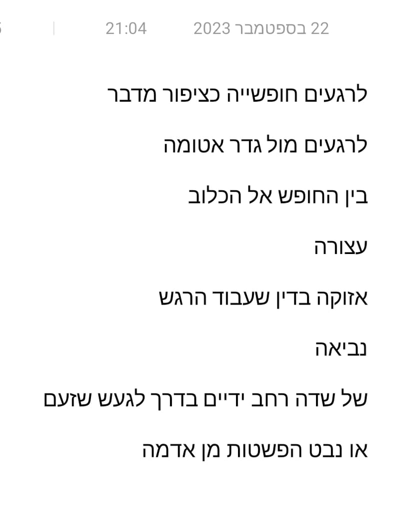 כל השירים