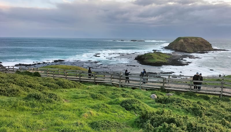 The natural beauty of Phillip Island and the Penguin Parade awaits you