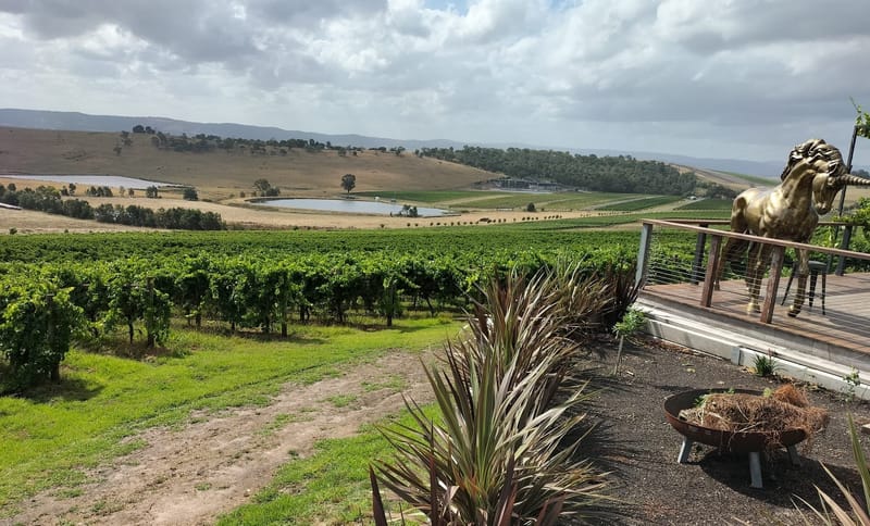 Visit a Victorian Winery on a Private Tour with US