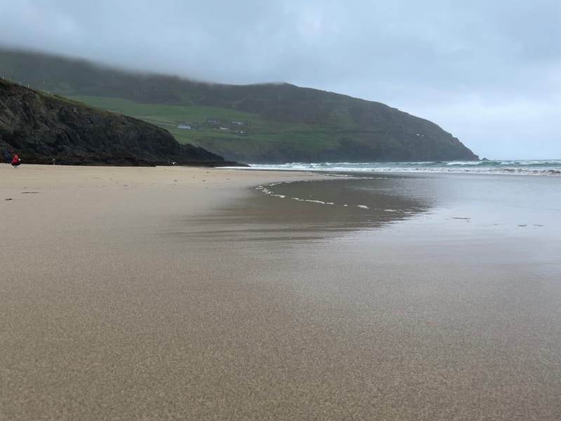 Wilsons Promontory Tour From Melbourne