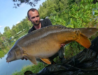 La pêche au zig rig