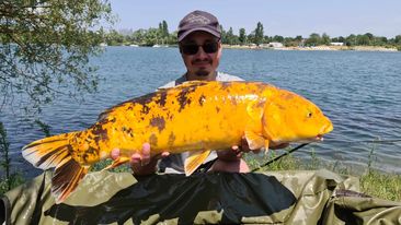 Pêche de rendements