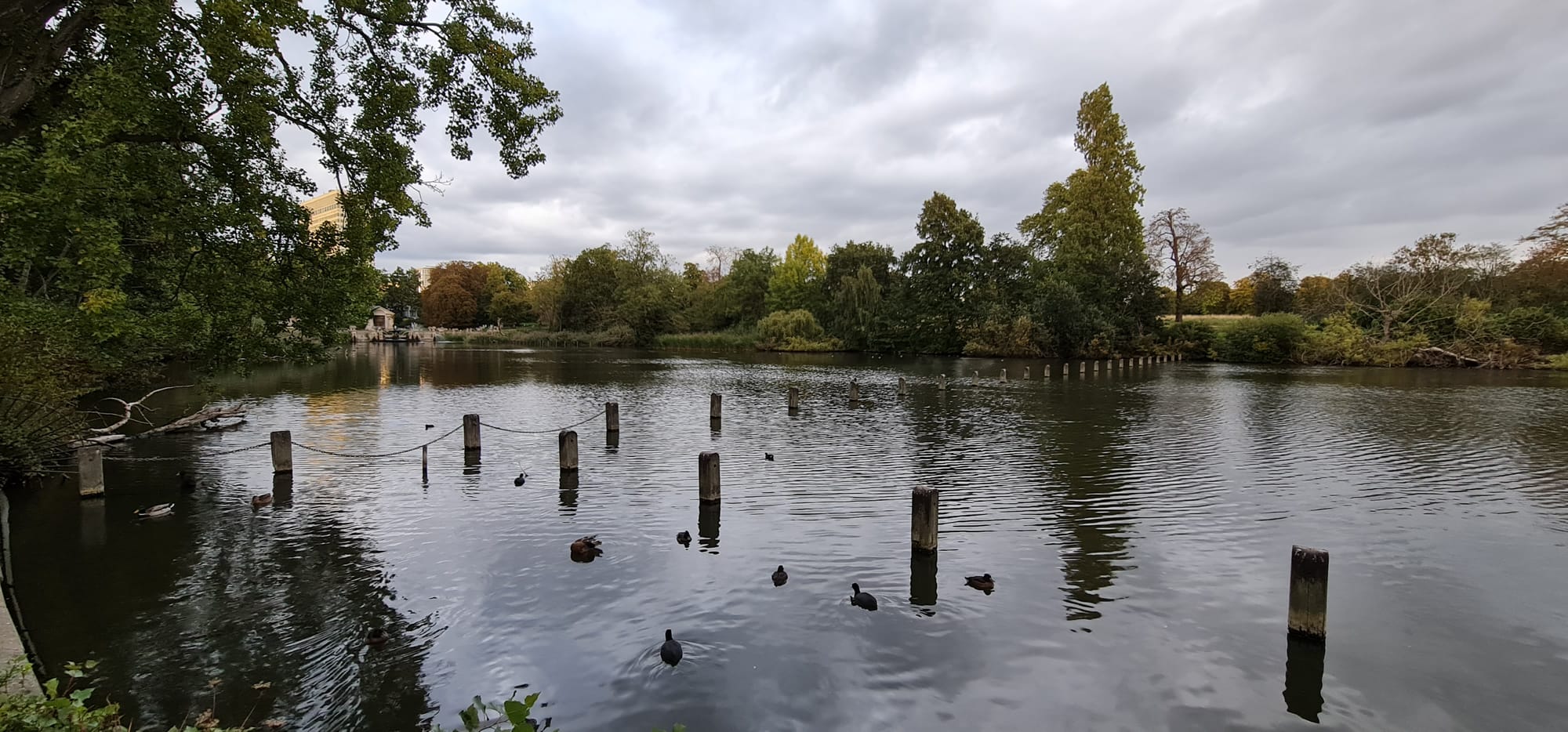 MAGIC AT THE MUSICALS 2022