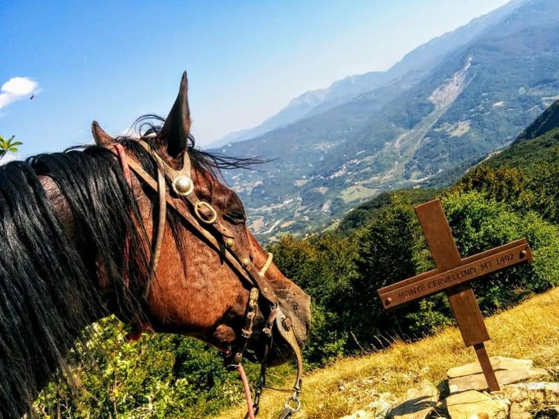 On horseback