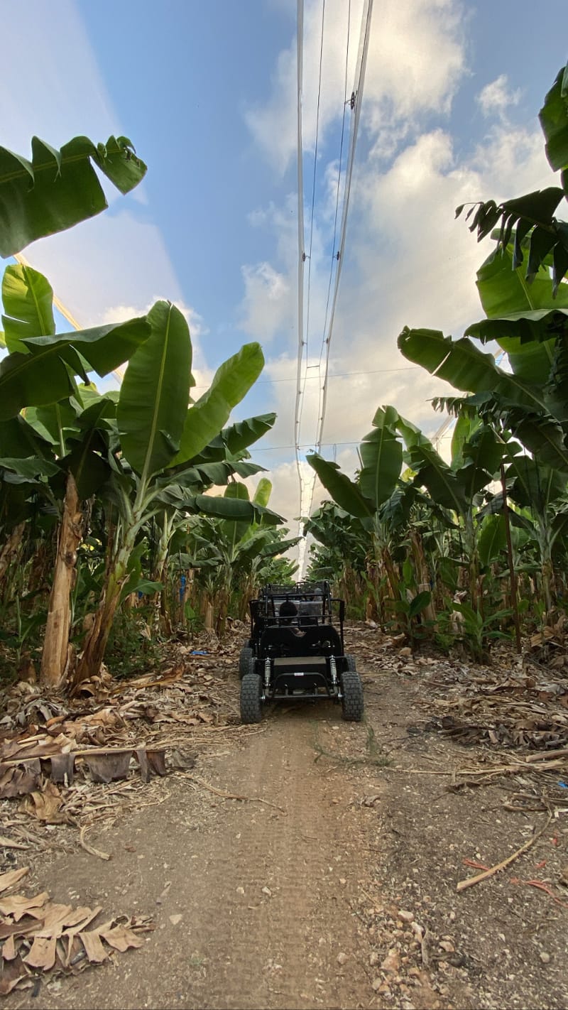 מסלול מטעי הבננות