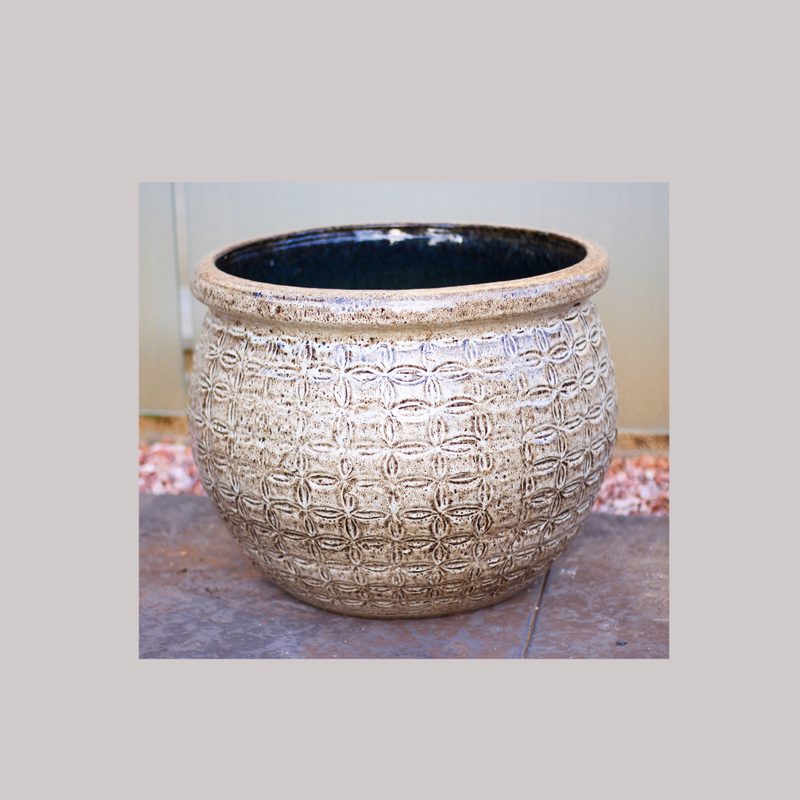 睡蓮鉢、富貴満堂、 引取り限定日曜祝 睡蓮鉢、富貴満堂、 引取り限定