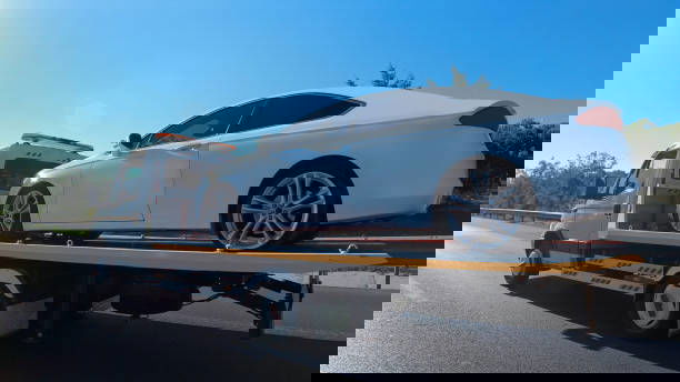 Land Transportation/ Trucking