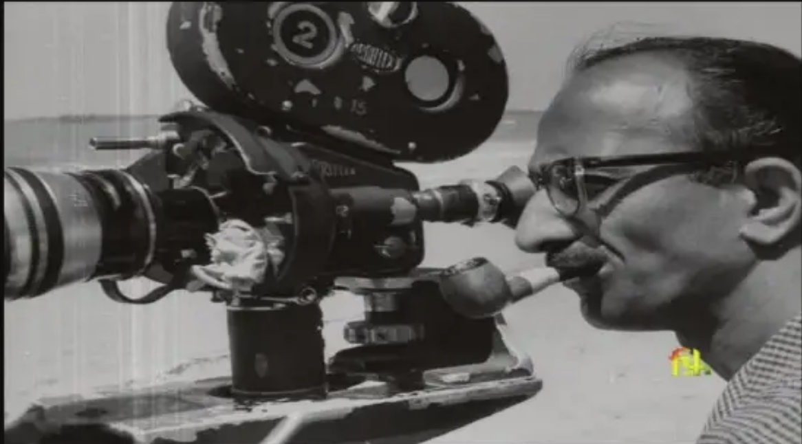 “Sun in the Belly”: Film Practice at Films Division of India 1965–1975
