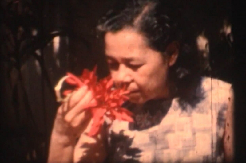 "Phantoms from the Past": A glimpse at India with Ritika Kaushik