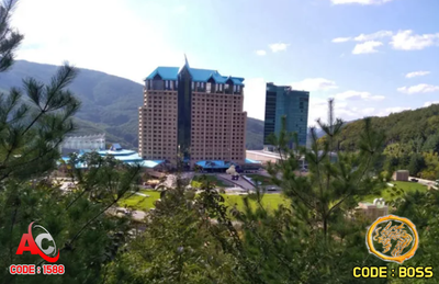 강원랜드카지노 배팅 성공 사례