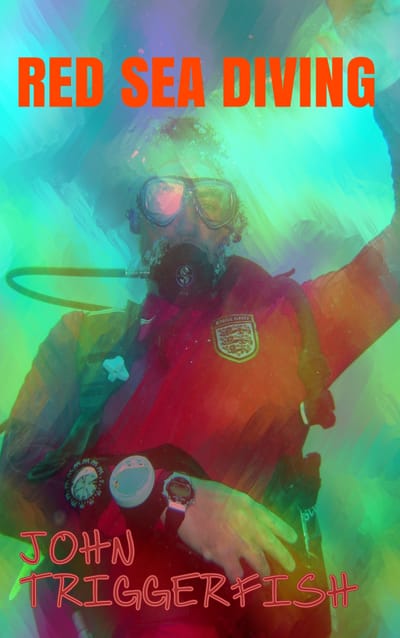 Red Sea Diving image