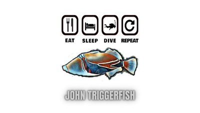 Eat Sleep Dive Repeat image