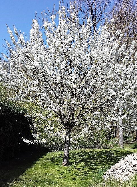 Notre Parc