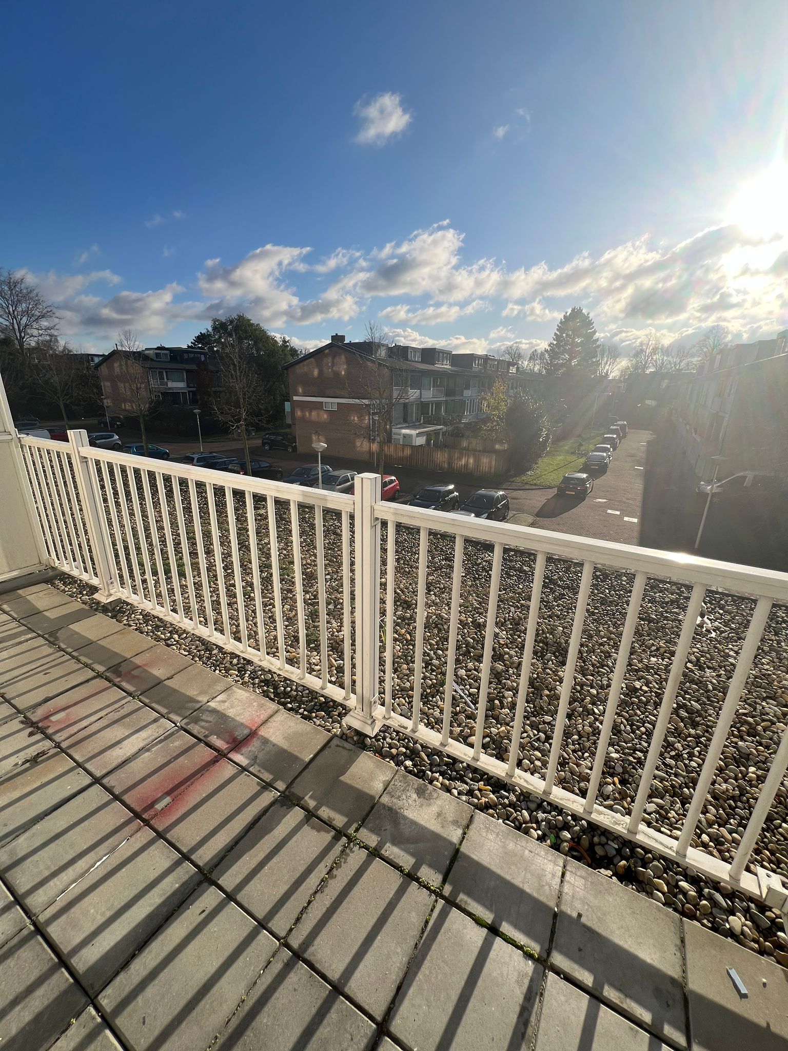 Pictures of Pieter Calandlaan