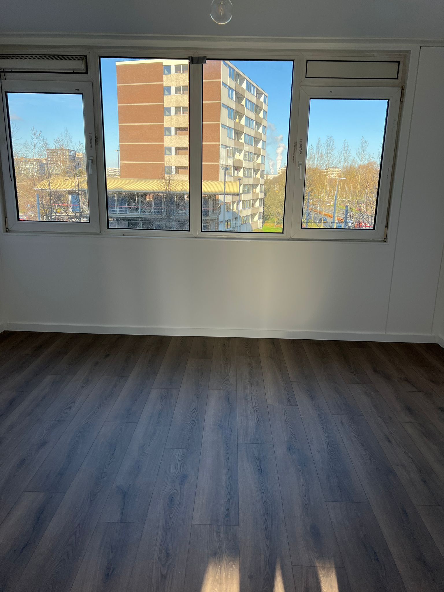 Pictures of Pieter Calandlaan