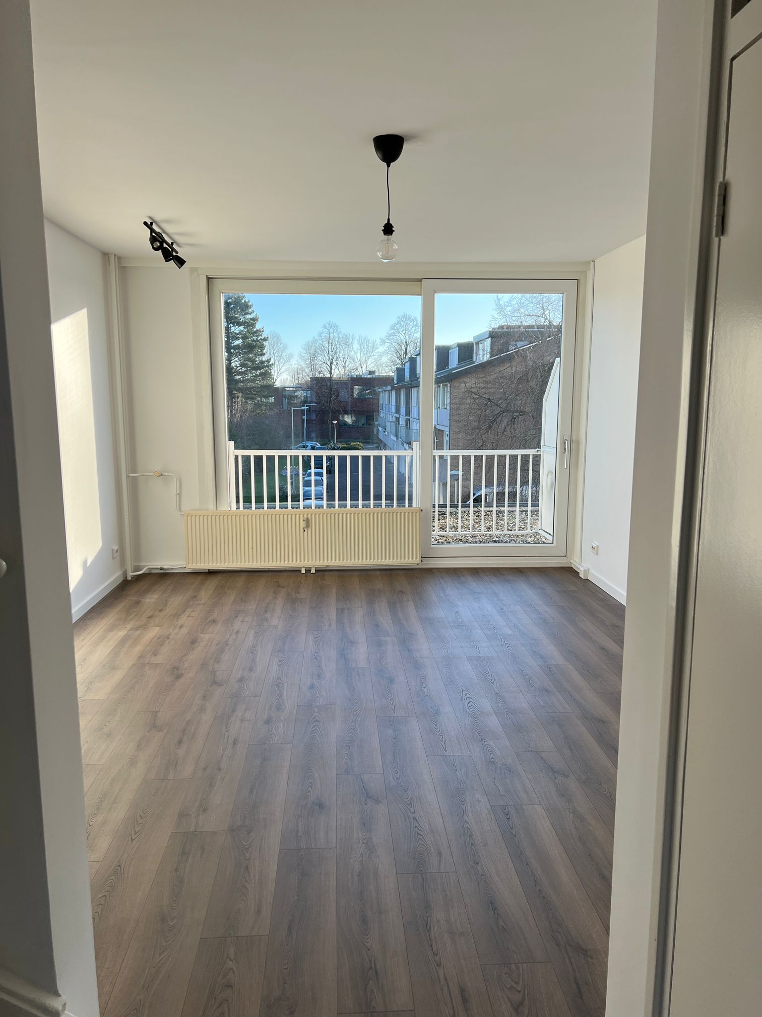 Pictures of Pieter Calandlaan