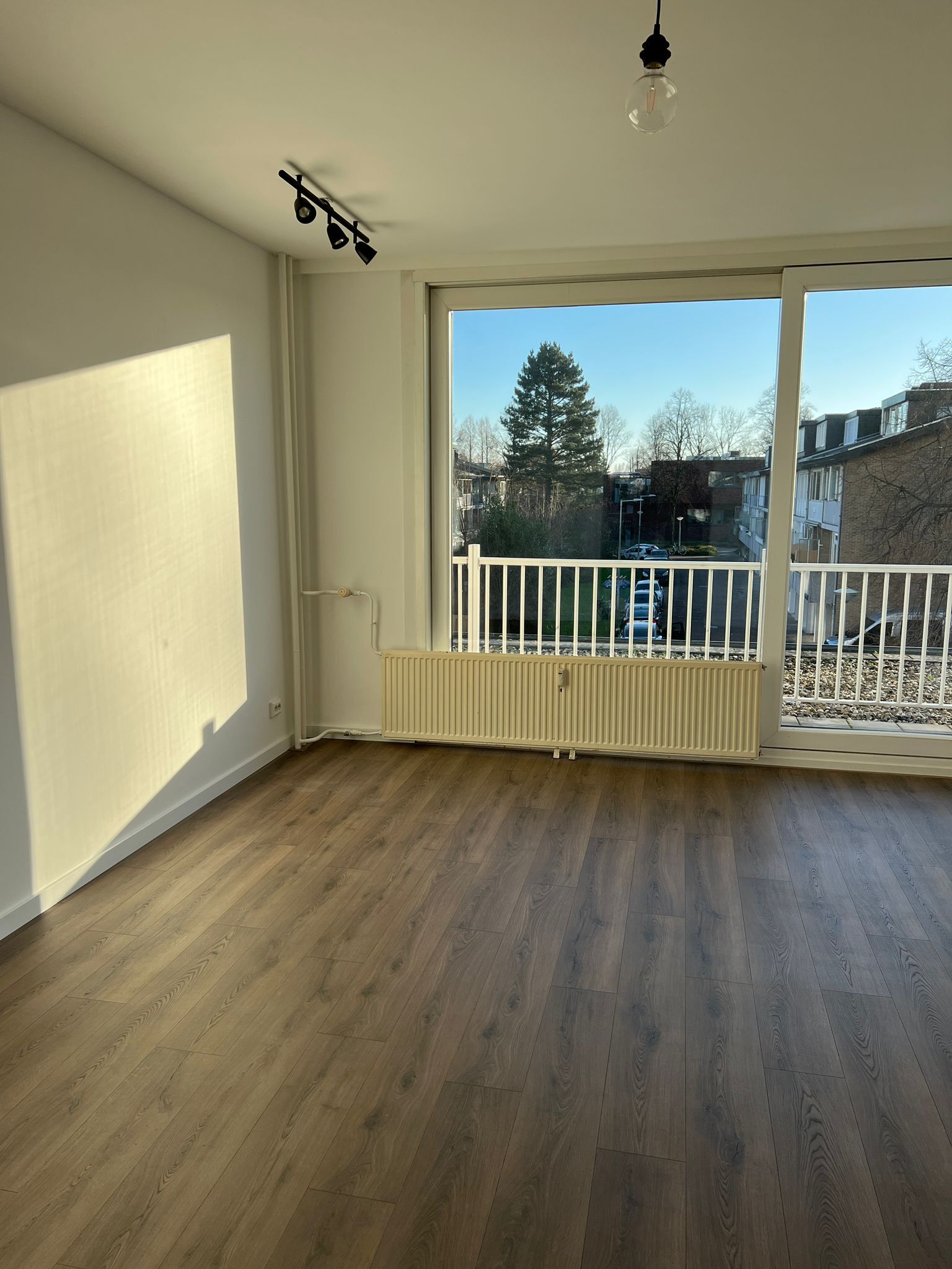 Pictures of Pieter Calandlaan