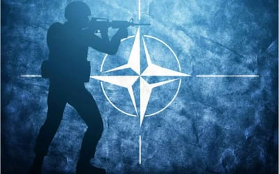 La Cumbre de la OTAN en Vilna: Realidad oculta y omisión de problemas
