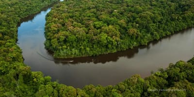 Esequibo: una disputa histórica y estratégica en Sudamérica