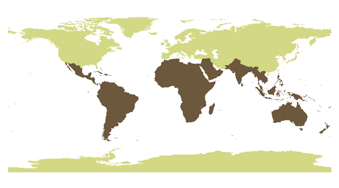 El Sur Global: epistemología y autonomía estratégica