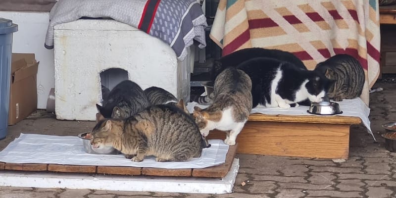 Unser Spendenprojekt bei Betterplace