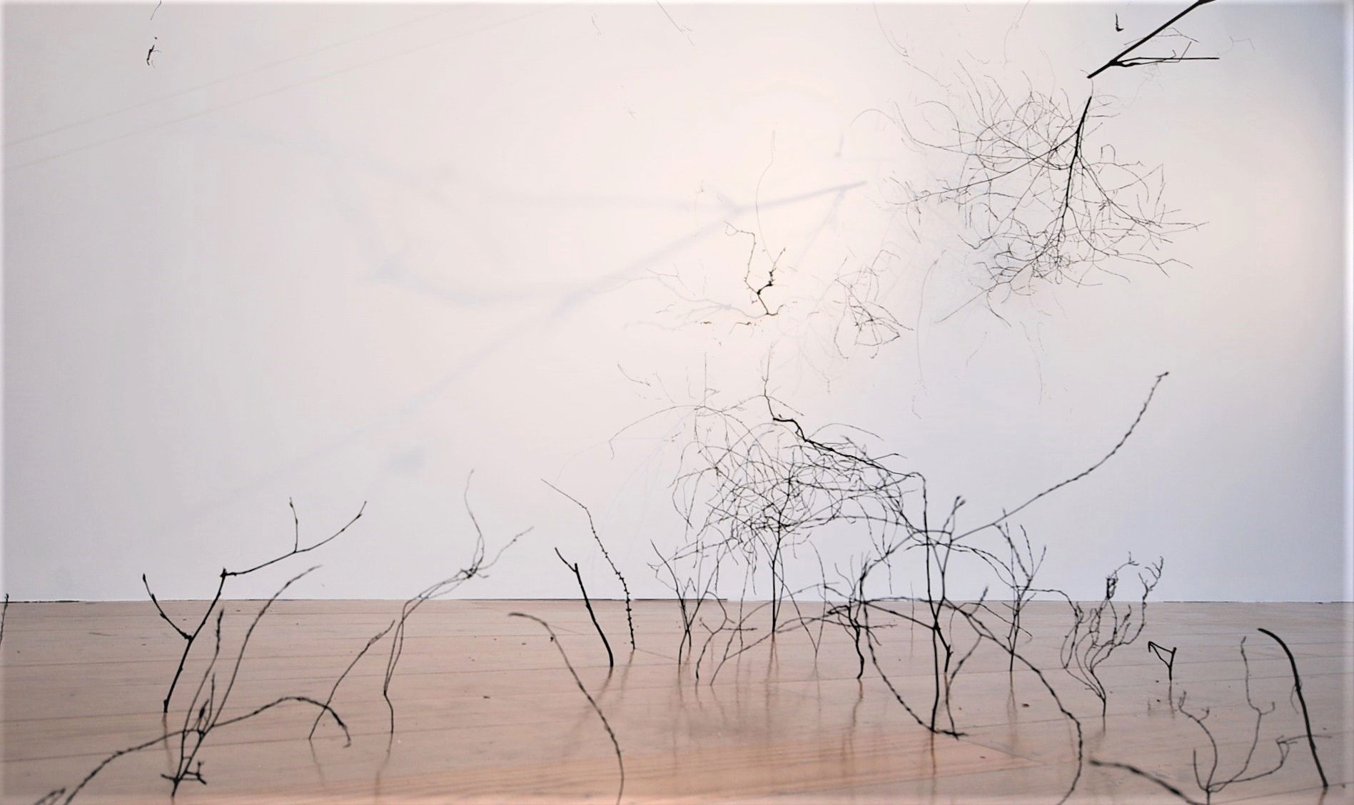 HUMAN LANDSCAPE SITE SPECIFIC INSTALLATION