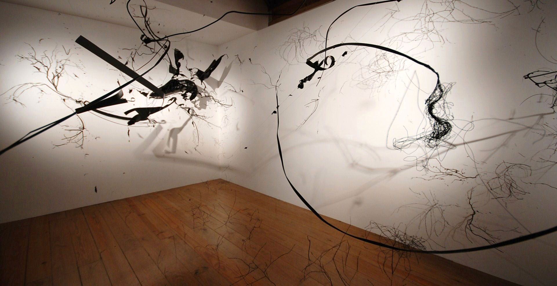 HUMAN LANDSCAPE SITE SPECIFIC INSTALLATION