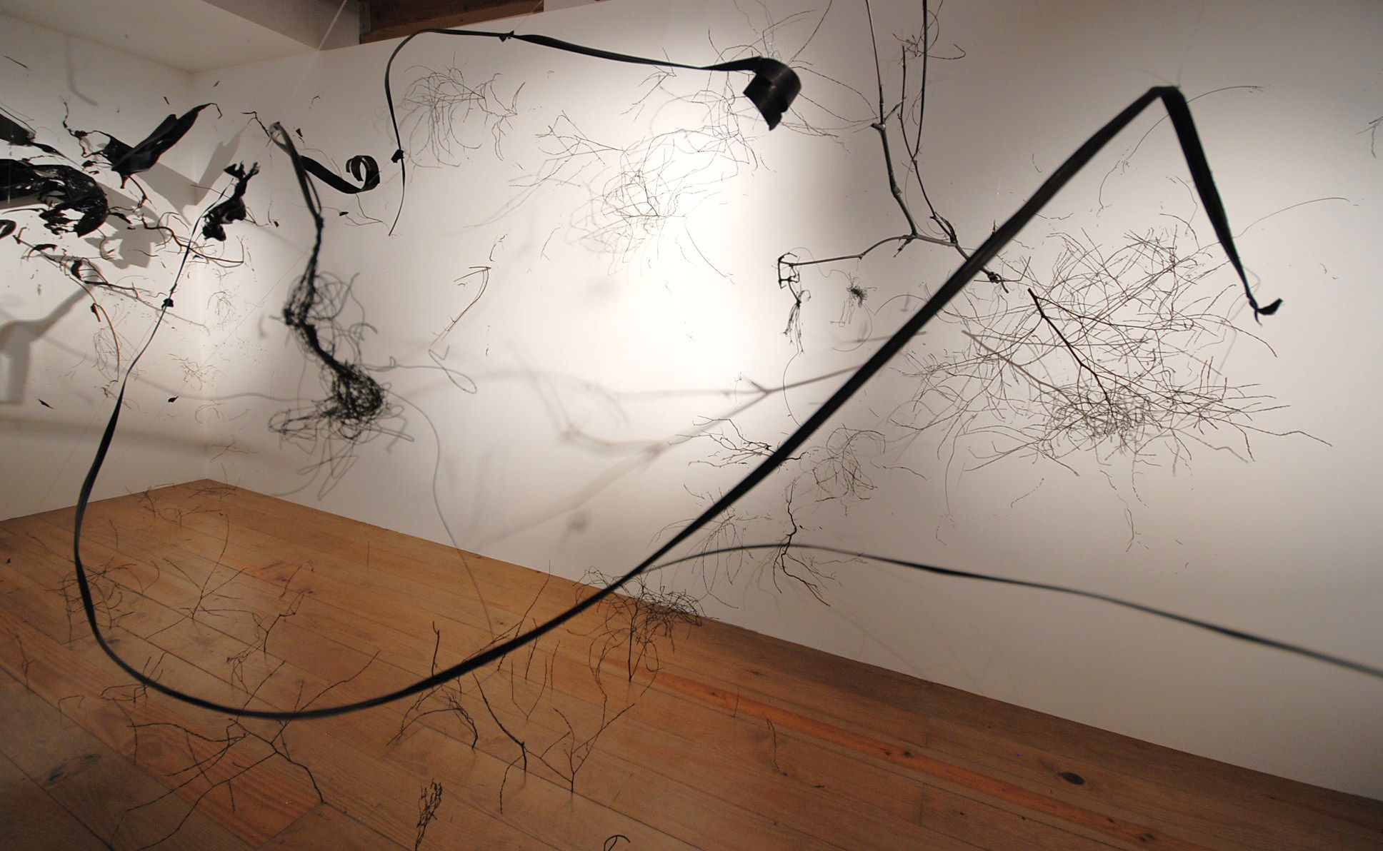 HUMAN LANDSCAPE SITE SPECIFIC INSTALLATION