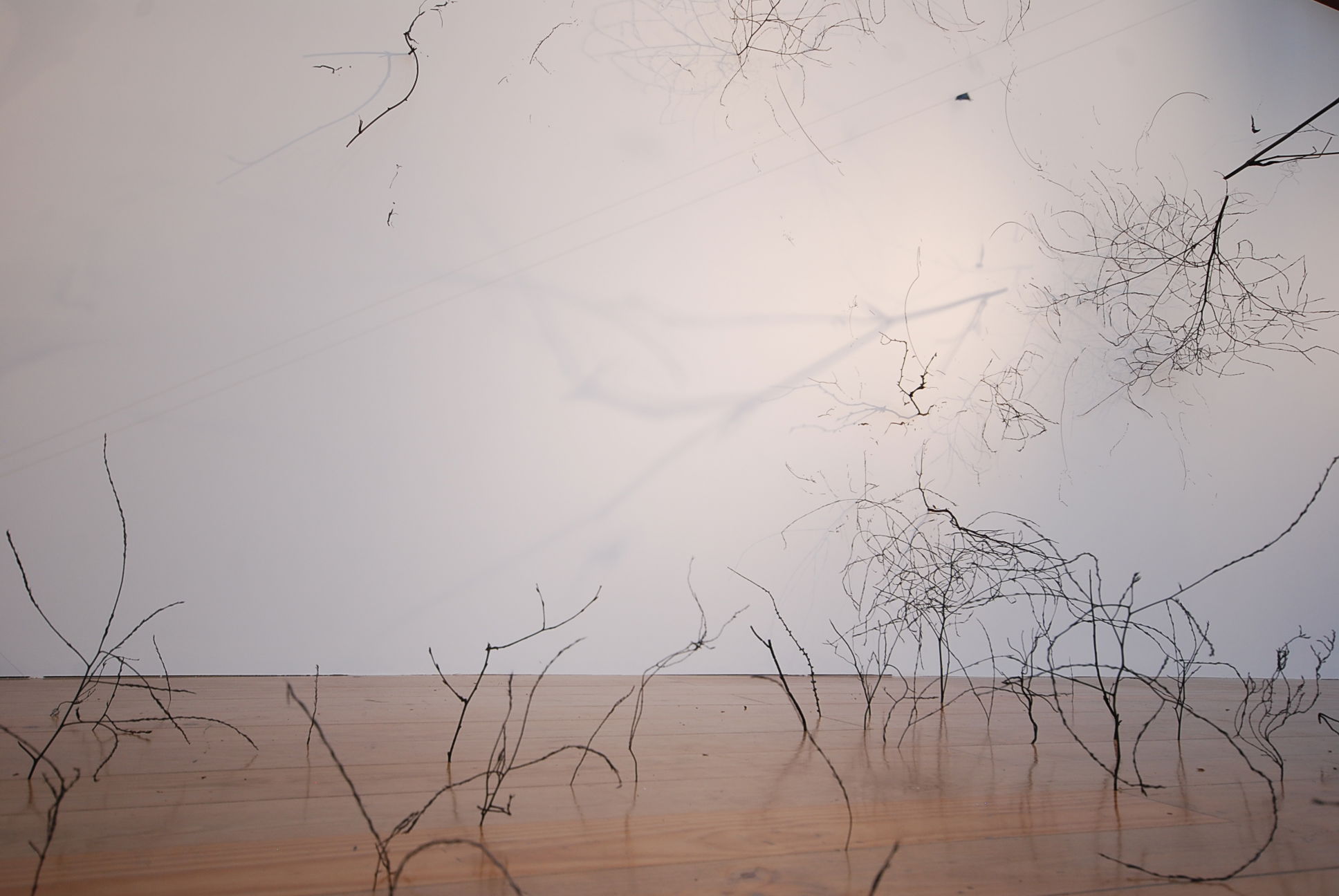 HUMAN LANDSCAPE SITE SPECIFIC INSTALLATION