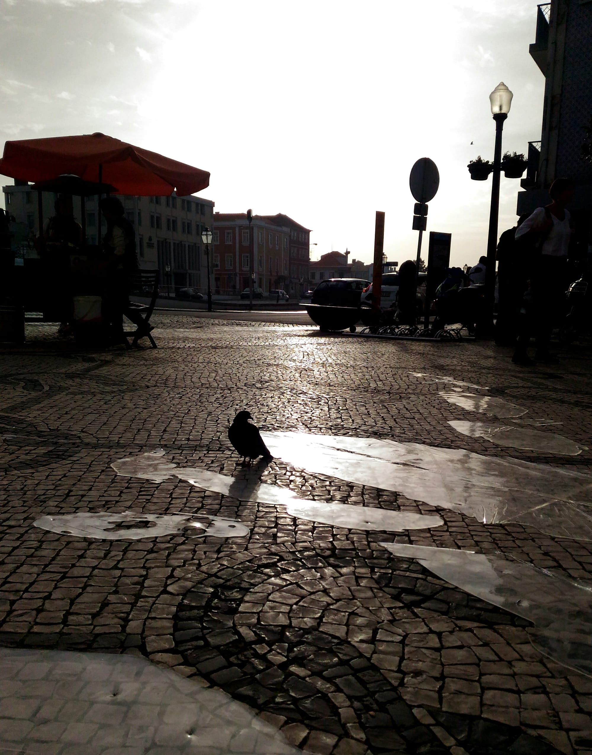 SITE SPECIFIC INSTALLATION IN PUBLIC SPACE, AVEIRO 2016