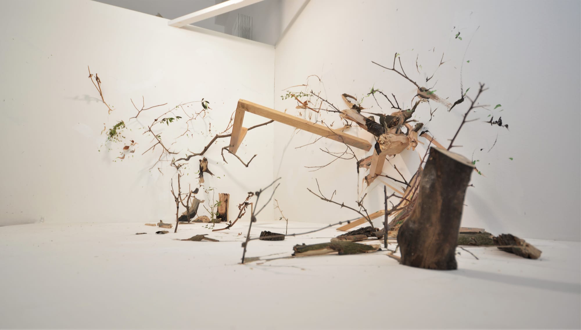 SITE SPECIFIC INSTALLATION