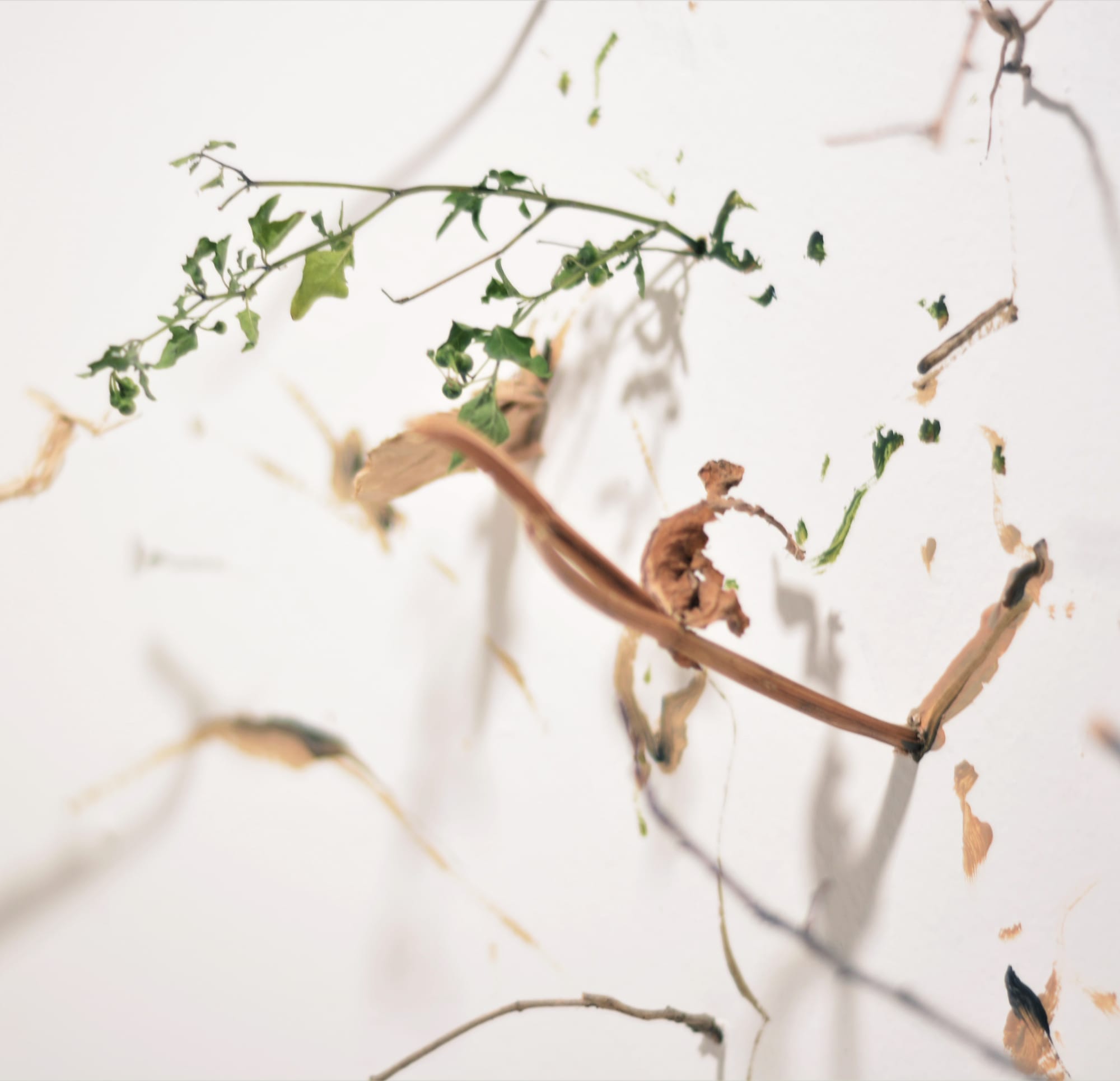 SITE SPECIFIC INSTALLATION