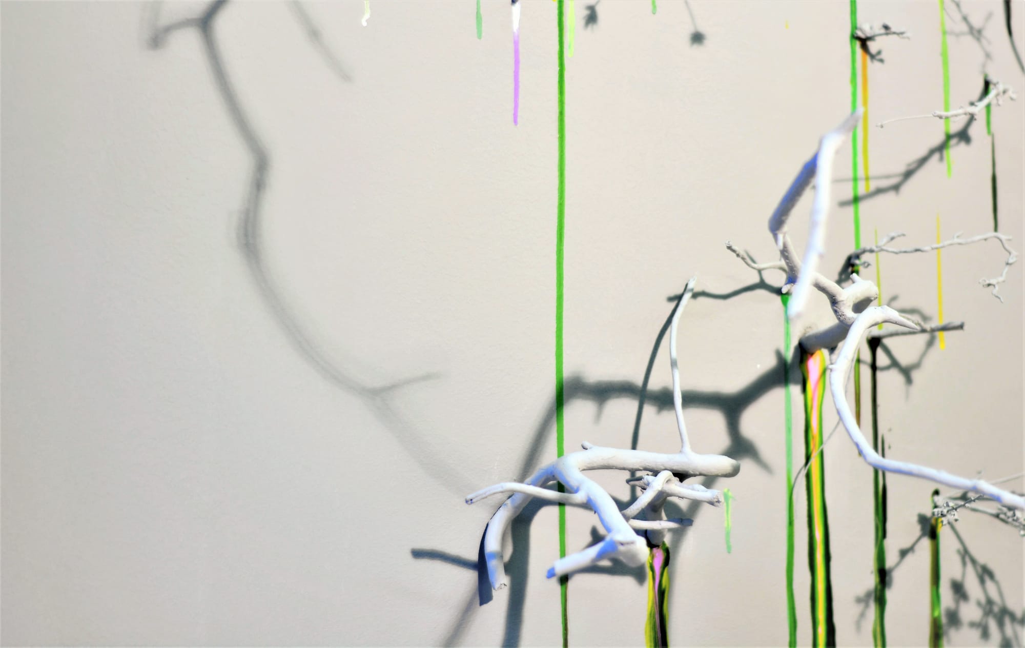 RESEARCH IN THE STUDIO, CHIAVARI, 2017