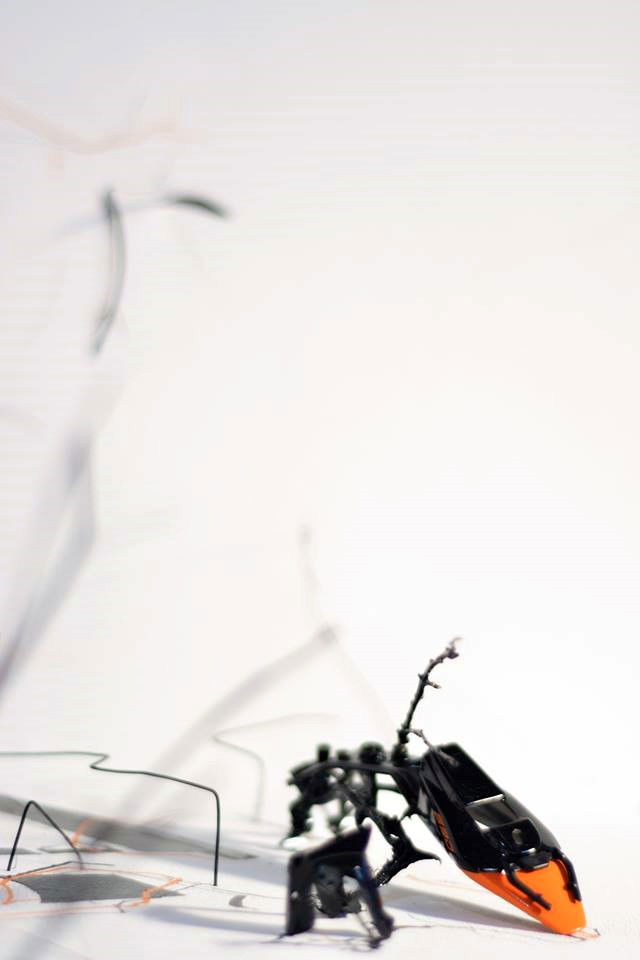 SITE SPECIFIC INSTALLATION 2016