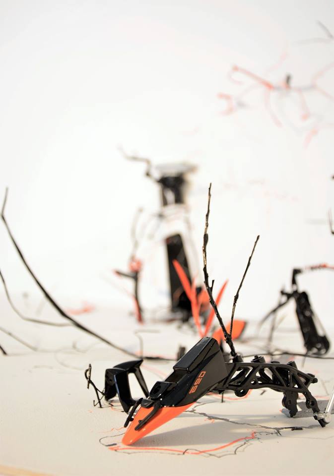 SITE SPECIFIC INSTALLATION 2016