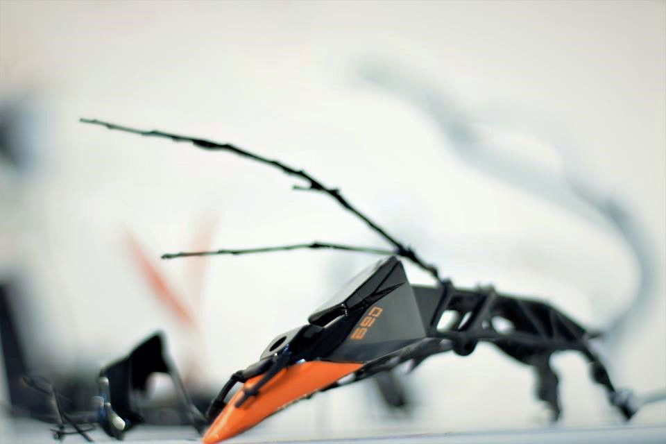 SITE SPECIFIC INSTALLATION 2016