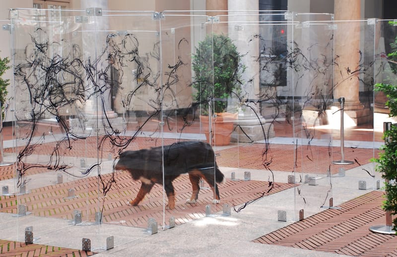 POST HUMAN - PALAZZO DUCALE