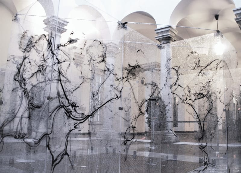 POST HUMAN - PALAZZO DUCALE