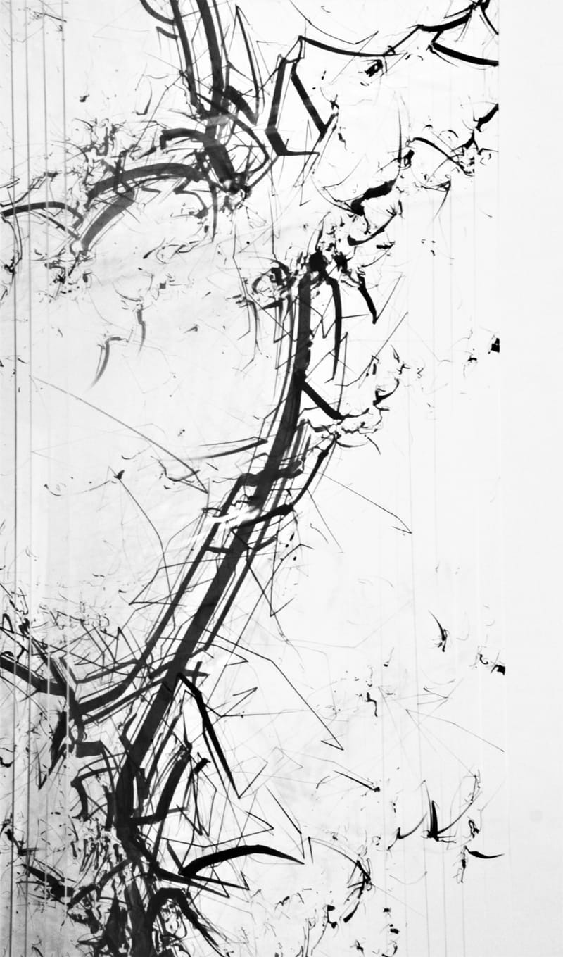 FROM CHAOS TO COSMOS