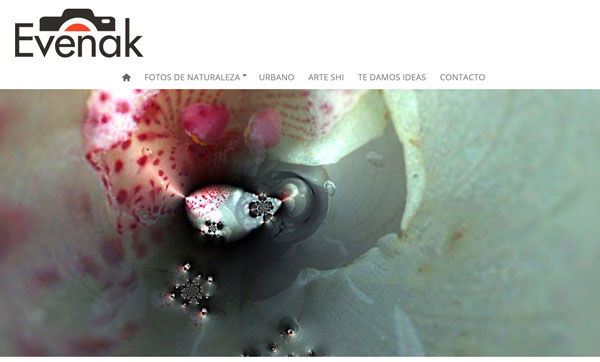 Última moda de decoración: comprar fotos de autor online