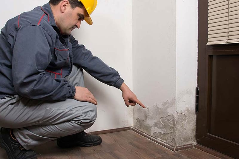 Los mejores materiales para combatir la humedad en tu hogar