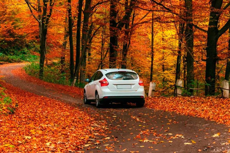 Las averías de coche más frecuentes en otoño